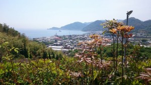 onomichi5